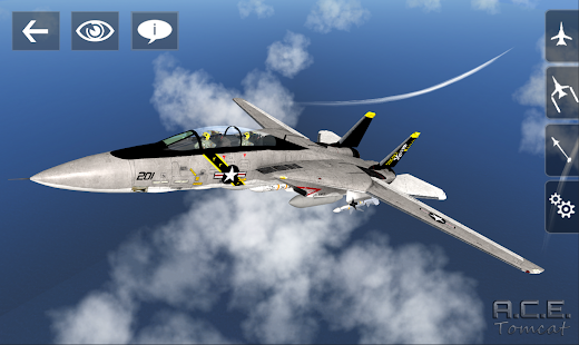 A.C.E. Tomcat Screenshots 8