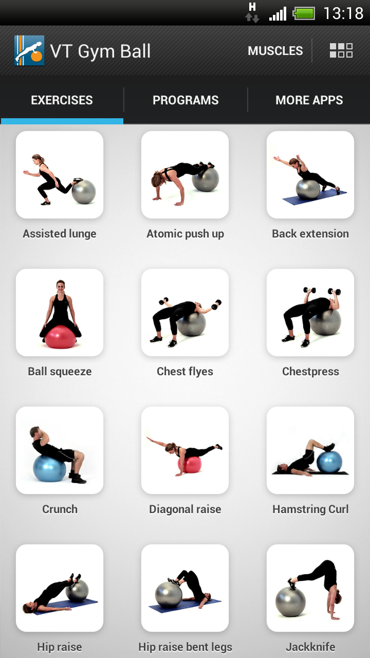 Virtual Trainer Gym Ball Screen 1