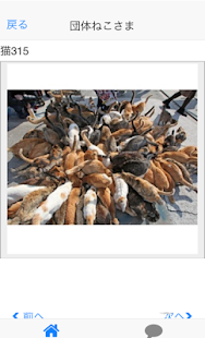 Download Cats of Tashirojima of Japan APK for PC