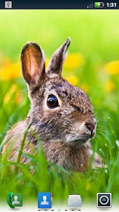 How to mod Cute Bunnies Live Wallpaper 3.6.0.0 unlimited apk for pc