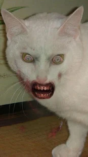 ZombieBooth(圖6)-速報App