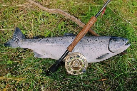 Fishing Jigsaw Puzzle Screenshots 4