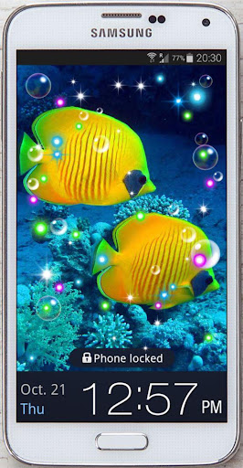 Tropical Fish live wallpaper