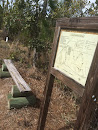 10 Mile Bench on the Longleaf Pine Blue Trail