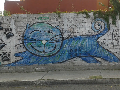 Marlon, El Gato Azul