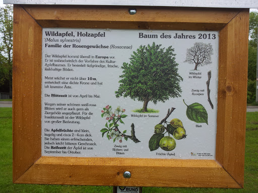 Wildapfel - Neuhofen