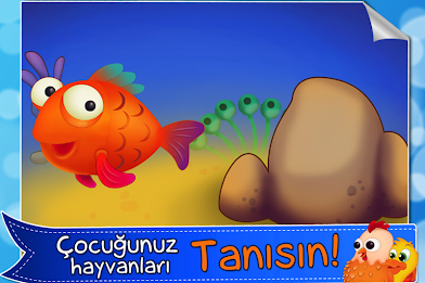 effort to find the most beautiful animals poster 3