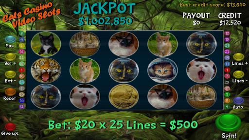 Cats Casino Video Slots