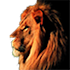 Animals Sound Effects1.0