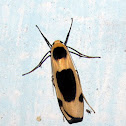 footman moth