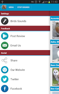 Spanish Birds Sounds(圖8)-速報App