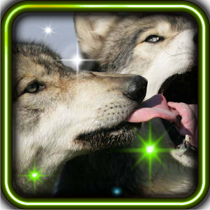 Free Wolf live wallpaper 1.0