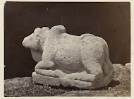 Nandi, the vehicle of Shiva. Dieng Plateau , Wonosobo district , Central Java province , 8th - 9th century