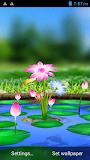 3D Flowers Touch Wallpaper