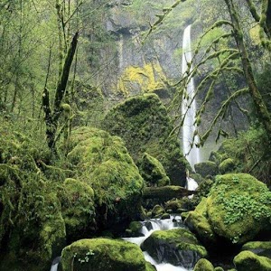 HD Wallpapers for Galaxy Nexus 1.0.8