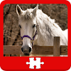 Horses Puzzles