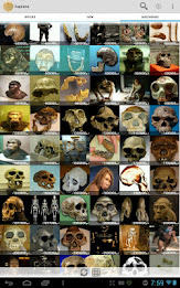 Sapiens -Archaeology & History poster 2