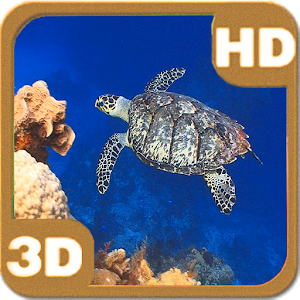 Turtle Swimming Coral Reef HD logo
