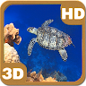 Turtle Swimming Coral Reef Application icon