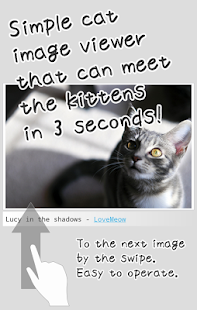 Kittens Soon Screenshots 0