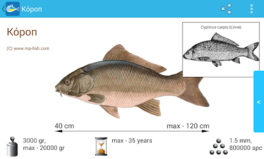 Риби України Screenshots 10