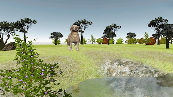 Free Download Catch The Frizbee APK for PC