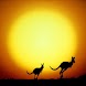 Australia Wallpapers