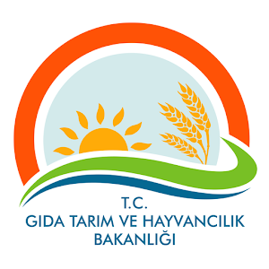T.C. GTHB 1.4