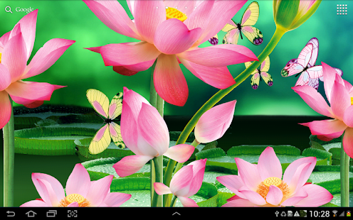 Lotus Live Wallpaper(圖4)-速報App