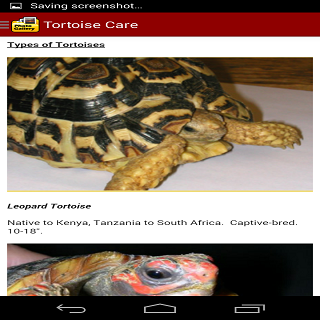 TORTOISE CARE 101 Screen 2