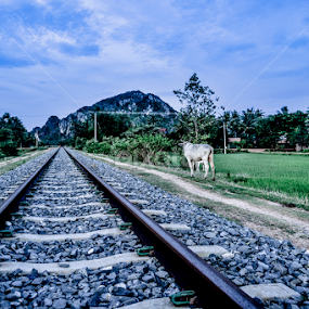 Kampong Trach Mountain by Siha Sao - Landscapes Mountains & Hills