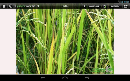 K gallery Screenshots 8