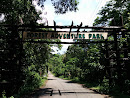 Forest Adventure Park