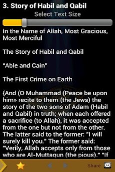Quran Stories (Islam)のおすすめ画像4