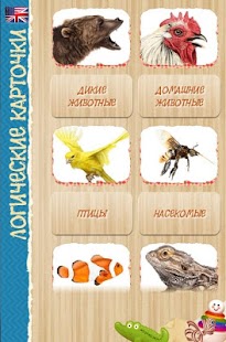 Download Logical Cards - nature APK