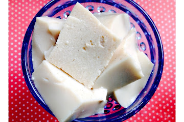 Low Carb Vanilla Gelatin Squares