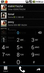 GO Contacts ICS Theme