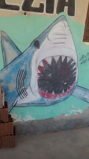 Tubarão Raivoso
