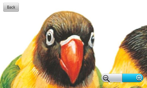 The World of Birds(圖7)-速報App