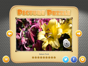 Picture Puzzle by Orbital Nine Games poster 15