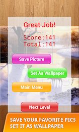 Jigsaw Puzzles Pro poster 22