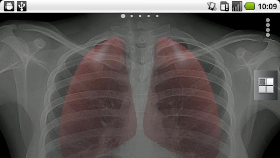 Lastest Breathe - Live Wallpaper APK