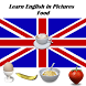 English in Pictures Food