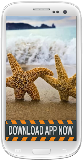 免費下載個人化APP|Starfish Android Wallpapers app開箱文|APP開箱王