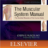 Muscular System Manual