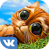 Indy Cat for VK1.71
