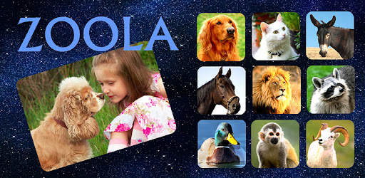 ZOOLA - Animal school for kids -  apk apps