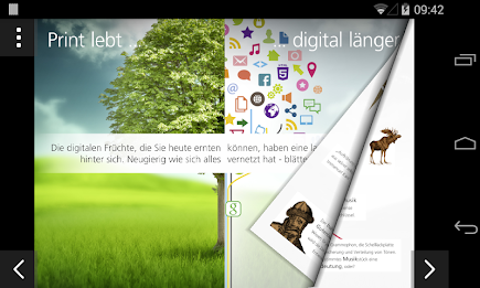 page2flip Publishing Showcase poster 3