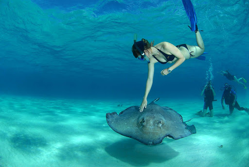 Up close and personal with a stingray in the Cayman Islands.