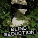 BLIND SEDUCTION: SEXY BONDAGE